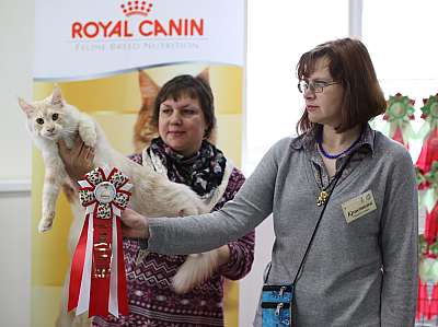   ' -'  10-11  2014 5-105-169A5190 copy.jpg